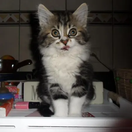 L 'anima Bb&table D'hôte 3*