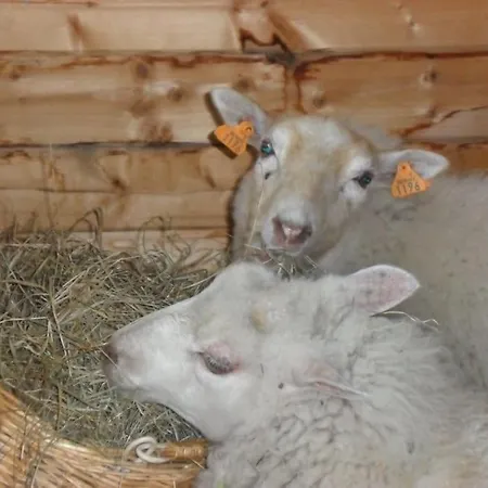 L 'anima Bb & Table D'hote Helecine