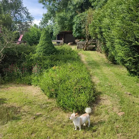 Alojamento de Acomodação e Pequeno-almoço L 'anima Bb&table D'hôte