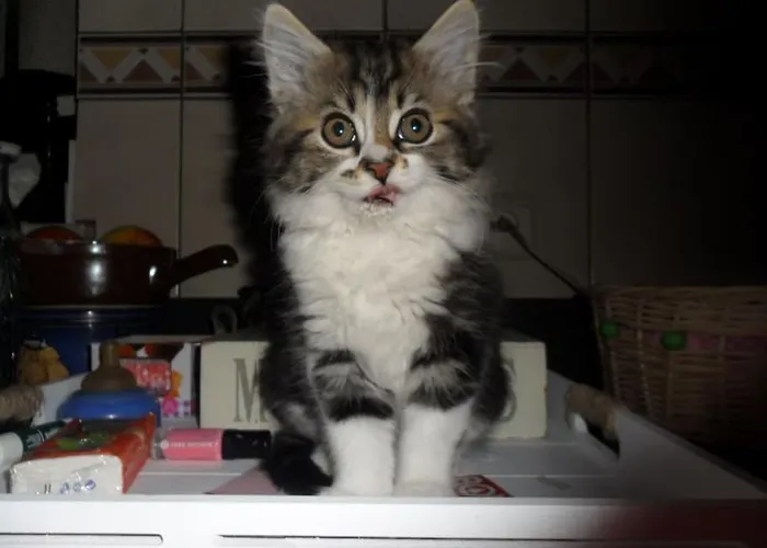 L 'anima Bb & Table D'hote 3*