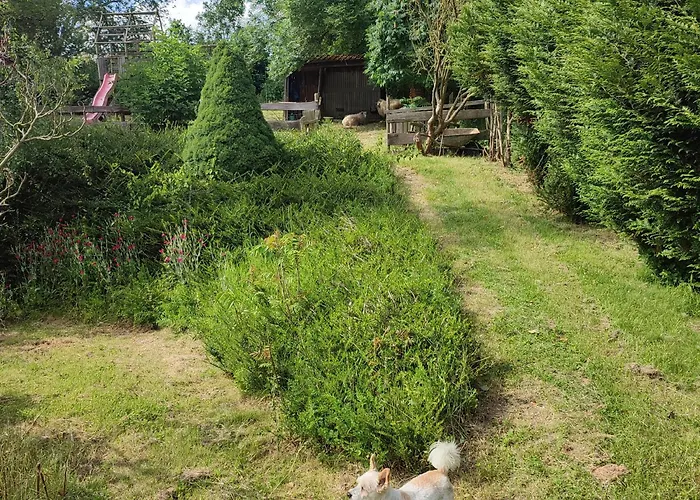 ベッド・アンド・ブレックファスト L 'anima Bb & Table D'hote